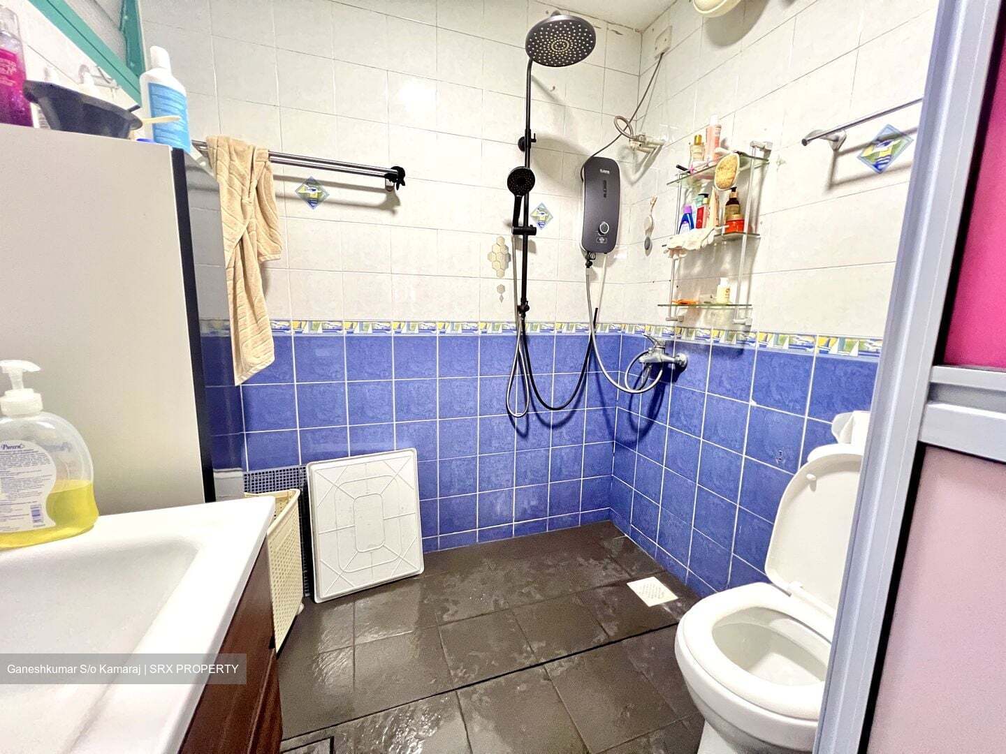 Blk 481 Segar Gardens (Bukit Panjang), HDB 4 Rooms #554623601